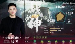 永劫无间爆料顾清寒视频,神秘刺客，暗夜中的幽灵舞者